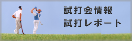 試打