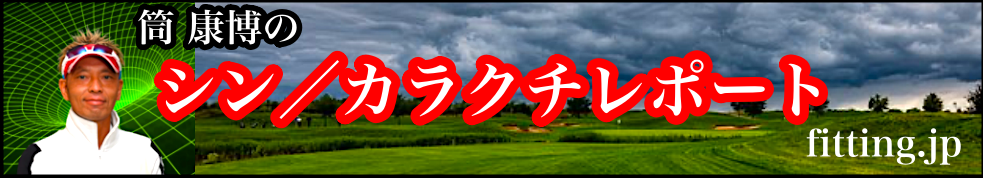 シン／カラクチレポート