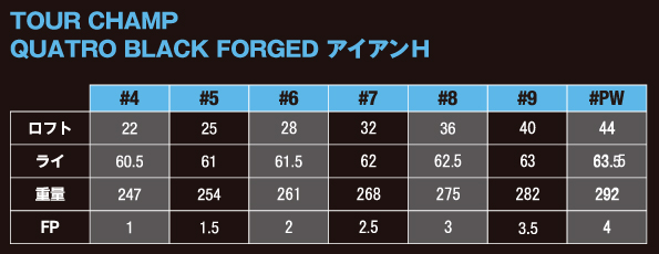 TOUR CHAMP アイアンセット 7-3 ウェッジ2本 計9本 クラブ