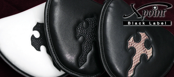 クロスポイント