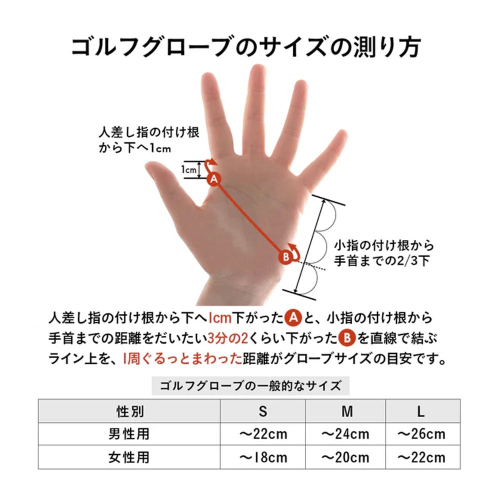 商品イメージ