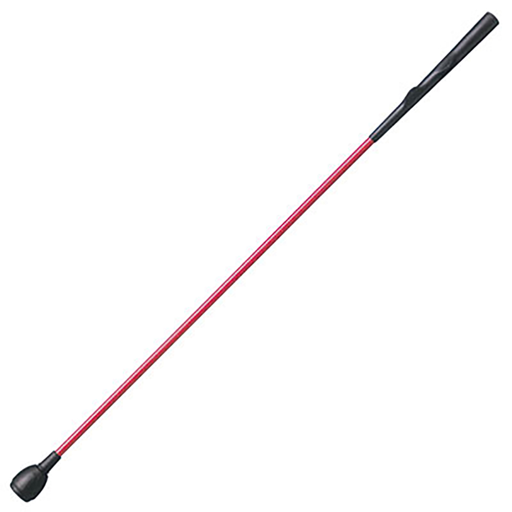 ジオテックゴルフ公式通販サイト / タバタ 弾道一直線(モデルグリップタイプ)